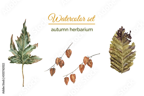 Set of autumn herbarium