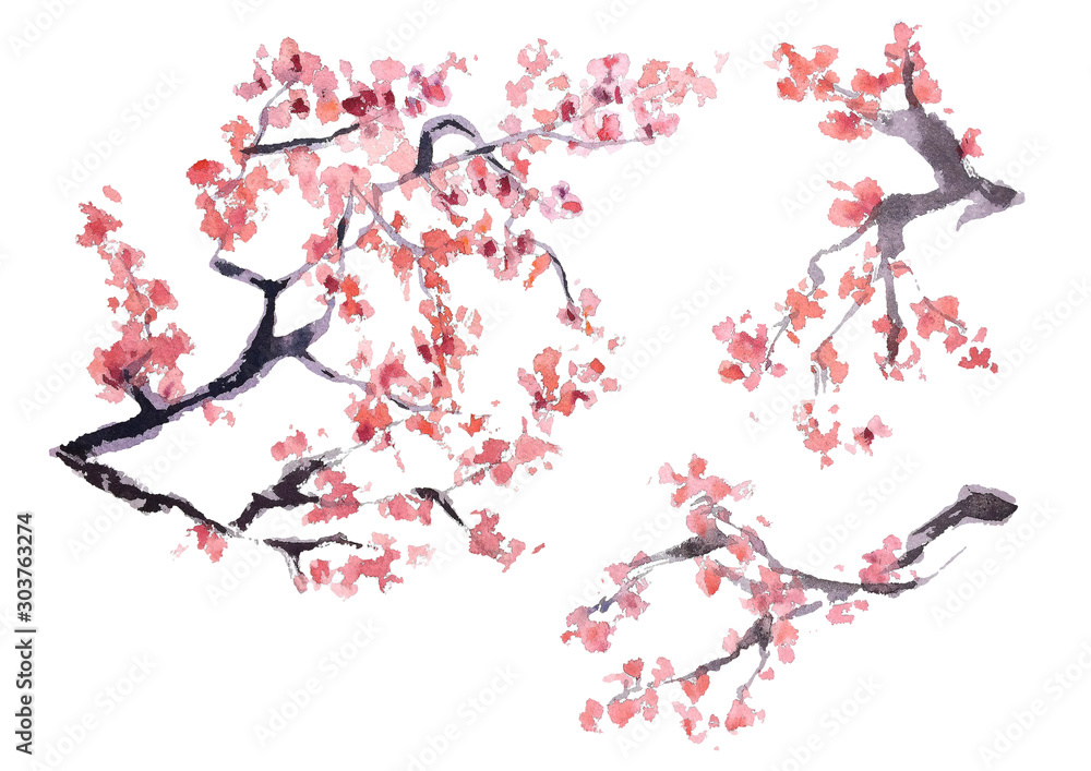 Fototapeta Kilka różnych rodzajów kwitnących różowych tradycji sakury japońskiego rysunku