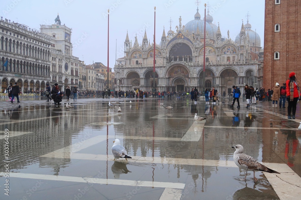 Acqua alta à Venise, mouettes sur la place Saint-Marc inondée, avec reflet de la basilique dans l'eau (Italie)