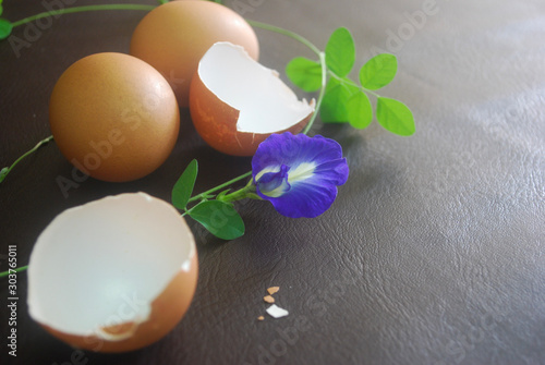 eggs and eggs shell with blue butterfly pea on brown background