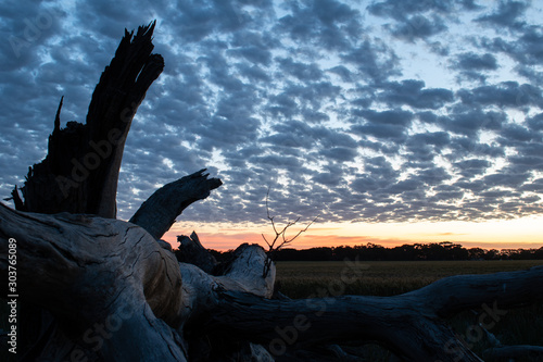 log in the field