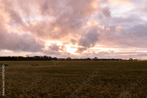 sunset over field