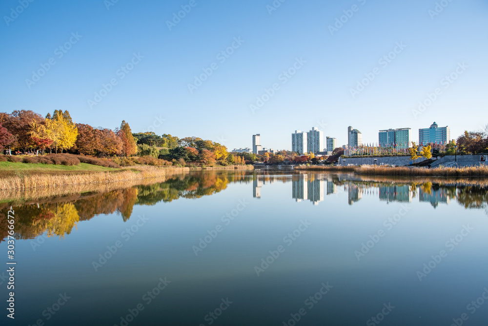 Fall leaves. Fall scenery. Lake. Seoul Olympic Park in South Korea.