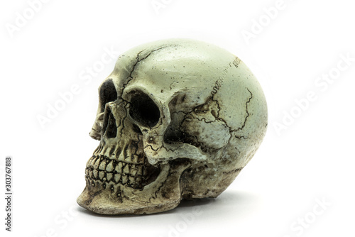 human skull isolated on white background