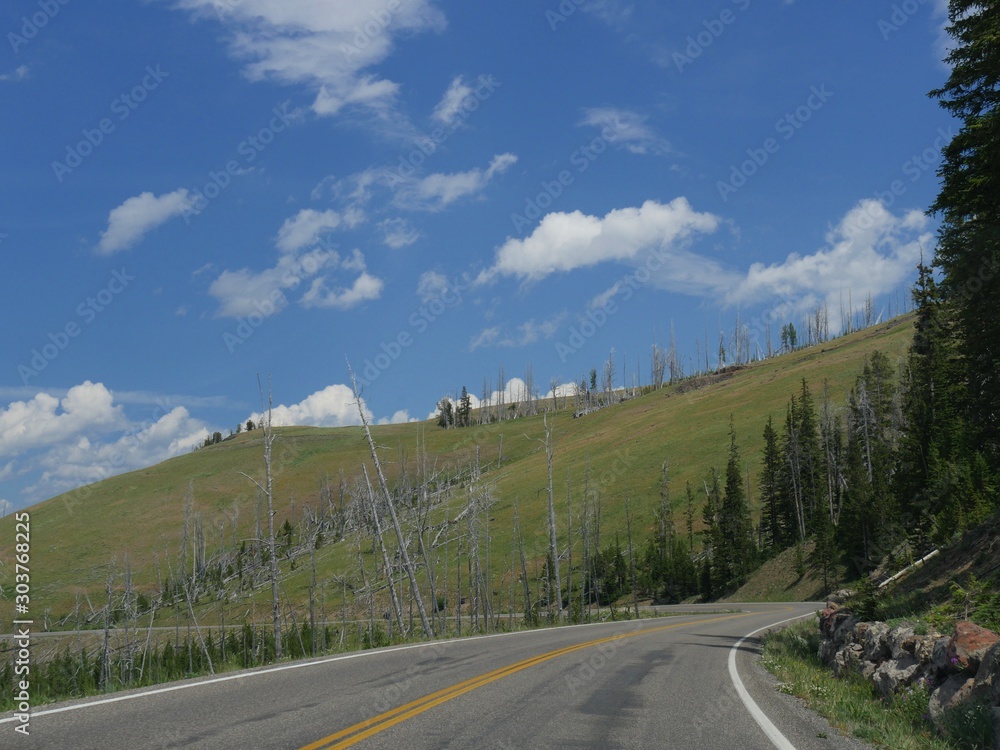 Naklejka premium Sharp twists and turns on the road add drama to drives at Yellowstone National Park in Wyoming.