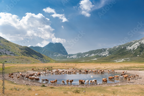 Canvas Print lake of pietranzoni