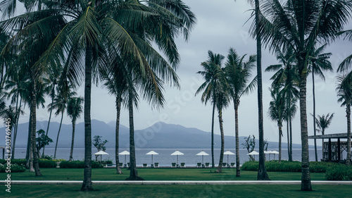 palm trees on the beach © Khoironi
