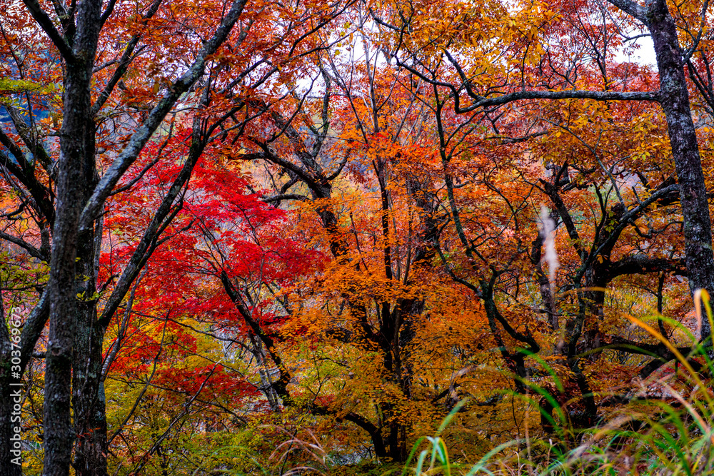 マゼノ渓谷の紅葉
