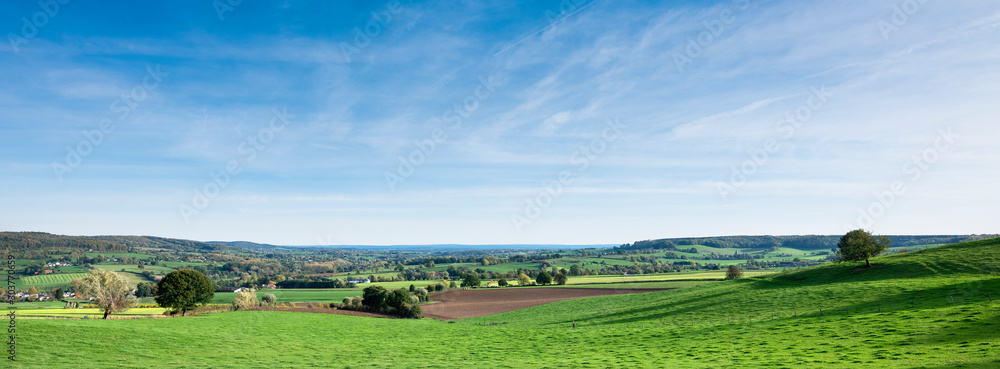 beautiful late afternoon sunlight on rural landscape of south limburg near Epen in the netherlands - obrazy, fototapety, plakaty 