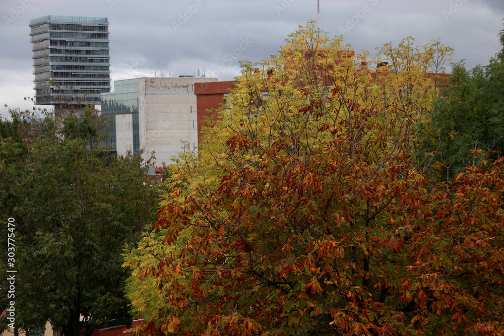 Naklejka premium Autumn in an urban environment