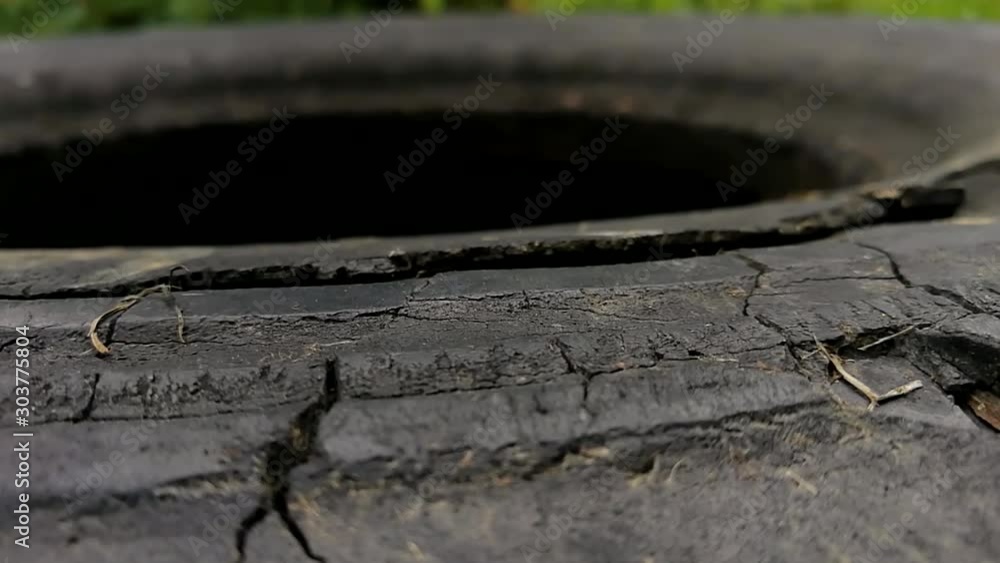 Detailed view of an old cracked tire laying on the grass Detailed view of an old cracked tire laying on the grass