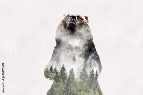 Fototapeta Naklejka Na Ścianę i Meble -  Minimal style double exposure with a bear and misty mountains