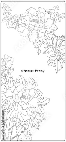 Peony tree branch with flowers in the style of Chinese painting on silk Coloring page for the adult coloring book.. Outline hand drawing vector illustration..