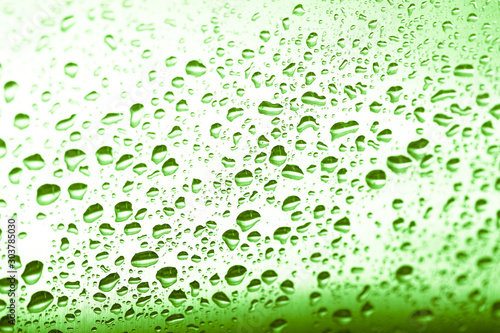 Drops of water on a glass background. Green. Selective focus. Toned