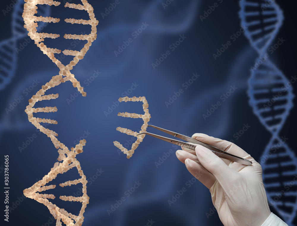 Foto The DNA molecule