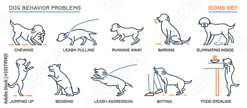 Dog Behavior Problems Icons Set
