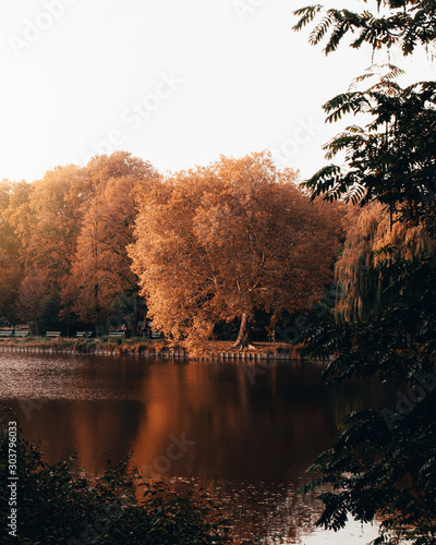 Berlin Lietzensee Herbst photo