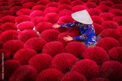 Incense sticks drying outdoor with Vietnamese woman wearing conical hat in north of Vietnam