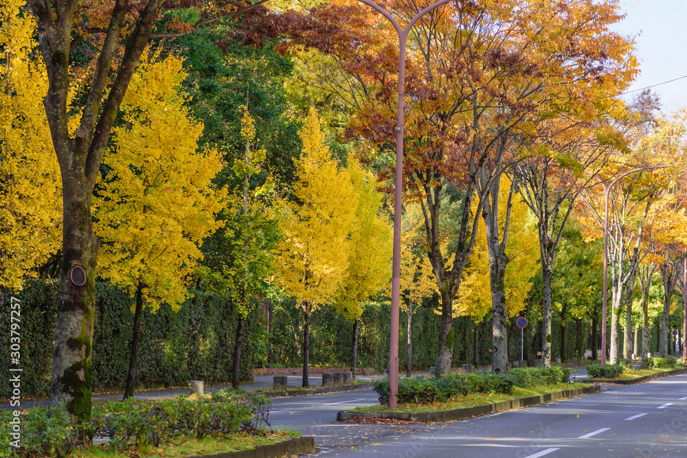 Naklejka premium Ulica Kioto Kitayama to kolorowe miasto