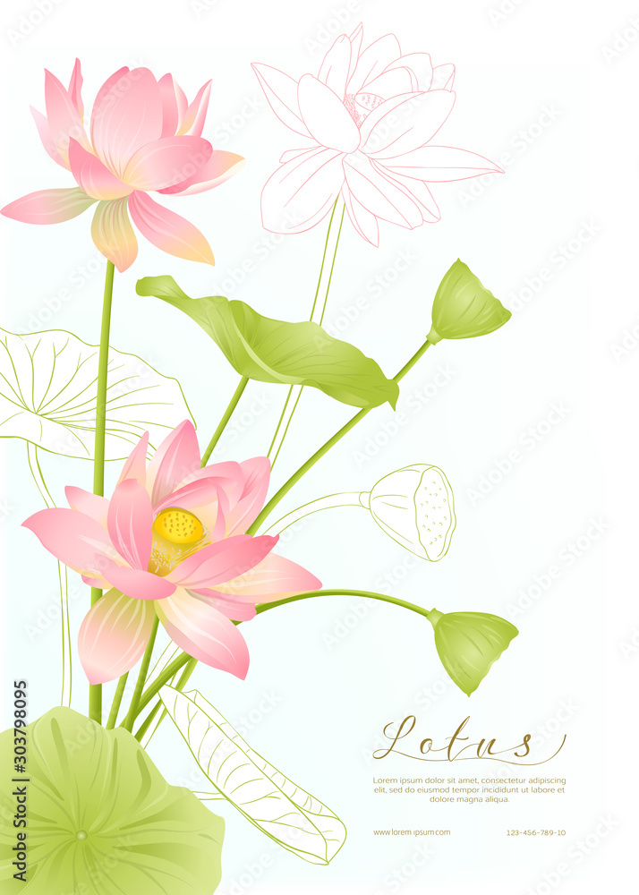 Lotus flowers. Template for wedding invitation, greeting card, banner, gift voucher with place for text. Colored and outline design. Vector illustration.
