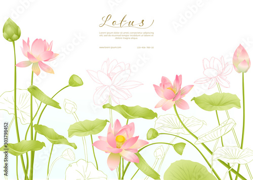 Lotus flowers. Template for wedding invitation, greeting card, banner, gift voucher with place for text. Colored and outline design. Vector illustration.
