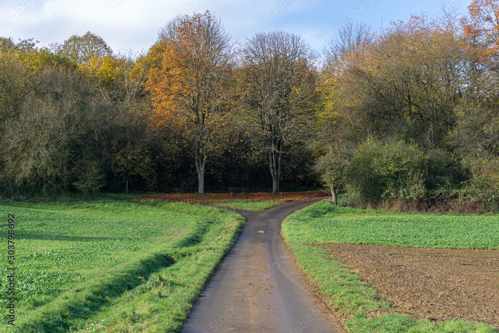Wegteilung anch links oder rechts im Herbst Wegteilung anch links oder rechts im Herbst