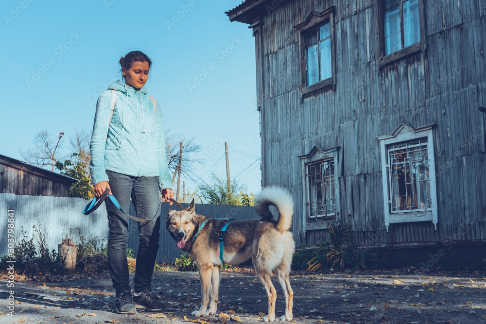 beautiful young girl with a dog, on the background of an old house. The concept of buying a new home, an animal shelter beautiful young girl with a dog, on the background of an old house. The concept of buying a new home, an animal shelter