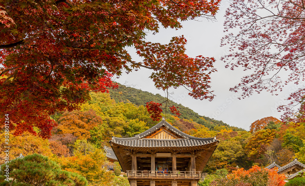 A landscape view of a mountain temple covered with maple trees.