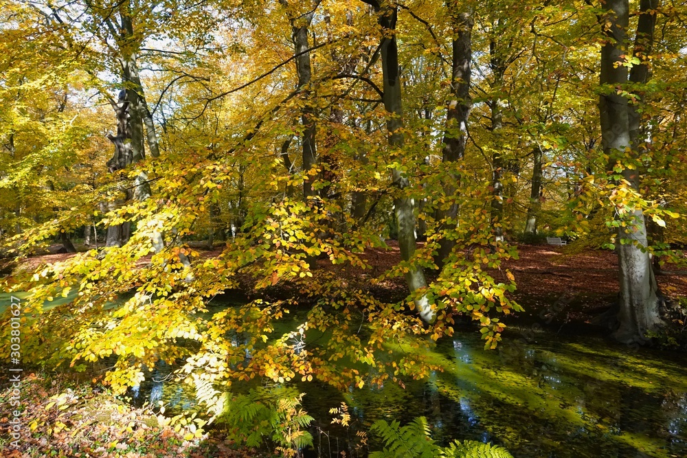 Obraz premium Netherlands. Autumn in The Hague