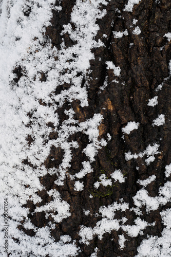 Wood texture covered with white snow close-up © evafesenuk