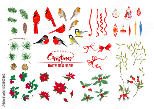 Winter birds, ribbons, Christmas decoration and wreath of spruce, pine, poinsettia, dog rose, cowberry, cranberry, fir. Set of elements for design. Colored vector illustration