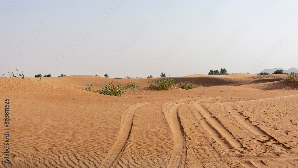 United Arab Emirates desert landscape, dubai	