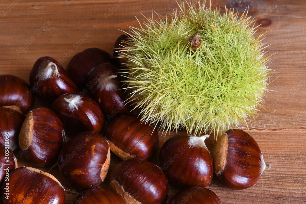 Closeup on chestnuts and curly on wooden background. Raw chestnuts for Christmas. Closeup on chestnuts and curly on wooden background. Raw chestnuts for Christmas.
