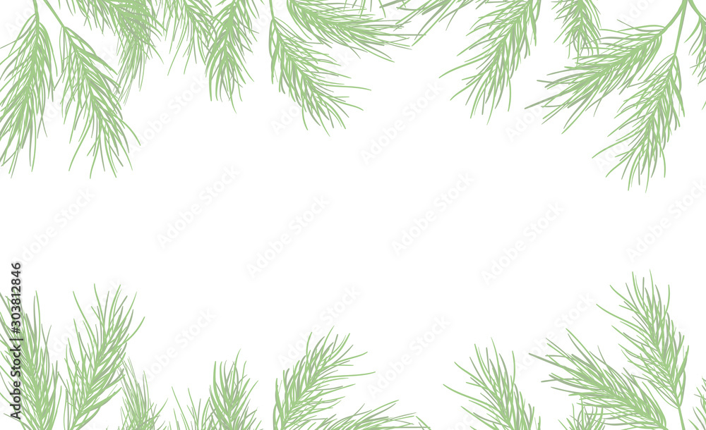 hand drawn border with green spruce, fir and snow flacke on white background for Christmas and Happy New Year greeting cards