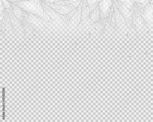 winter background with hand drawn spruce branch on  transparent background. Vector illustration.  photo