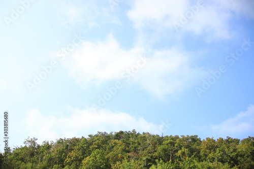 Bluesky and clouds With trees on the bottom of the image Use for background images or wallpapers