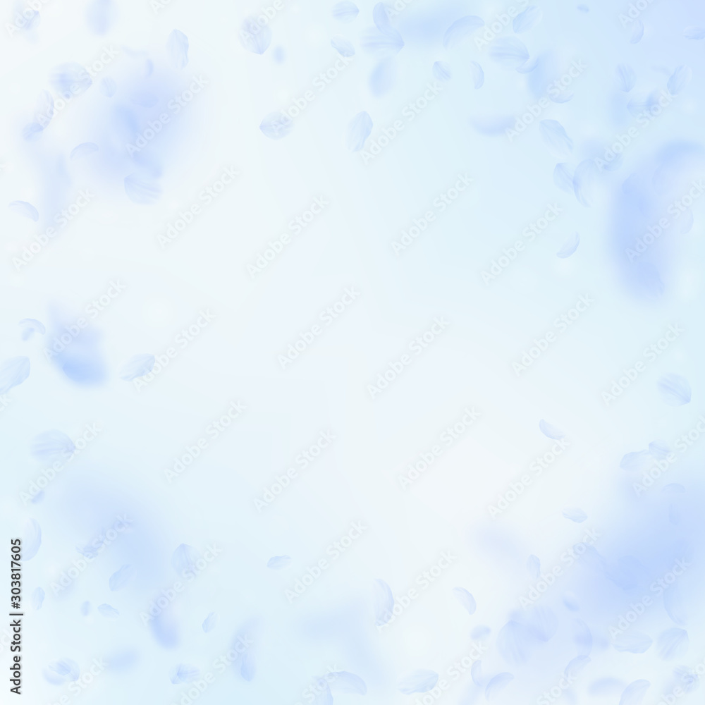 Light blue flower petals falling down. Exotic roma Light blue flower petals falling down. Exotic roma