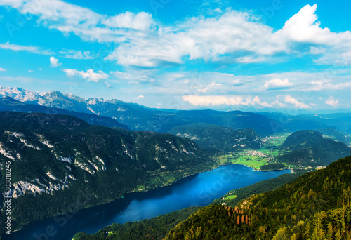 Aerial view of Lake Bohinj in Slovenia in summer © Bits and Splits