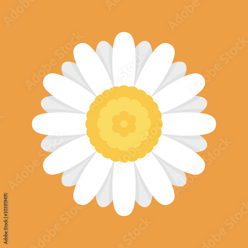 Chamomile flower, flat design