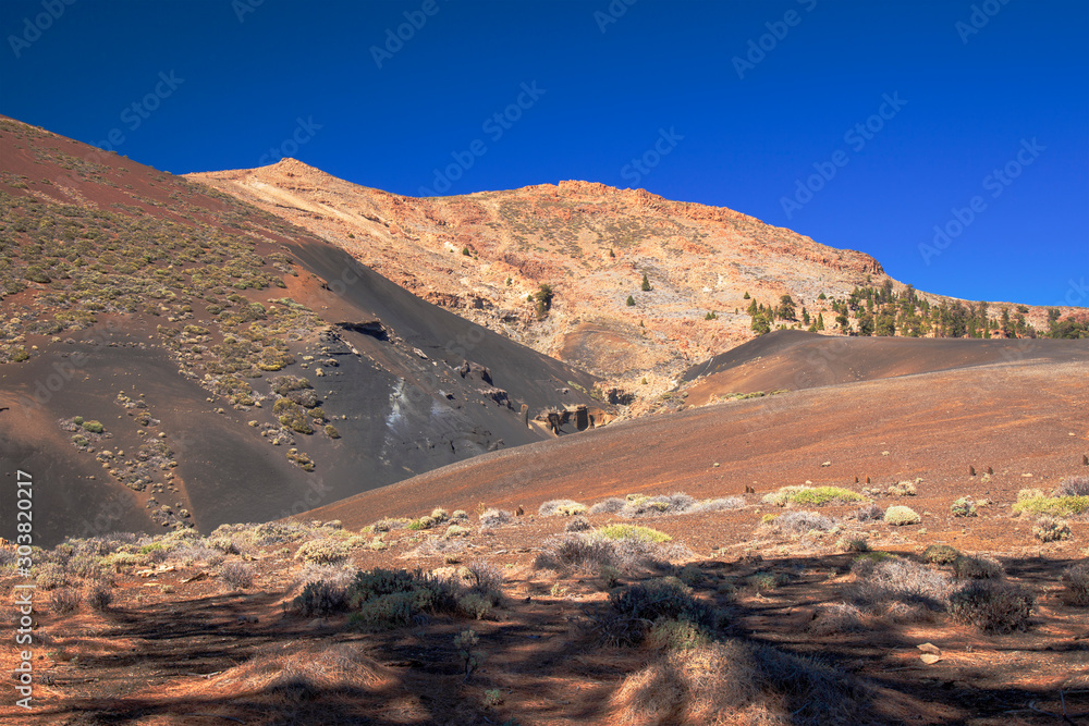 Fototapeta premium Tenerife, Vilaflor municipality landscapes