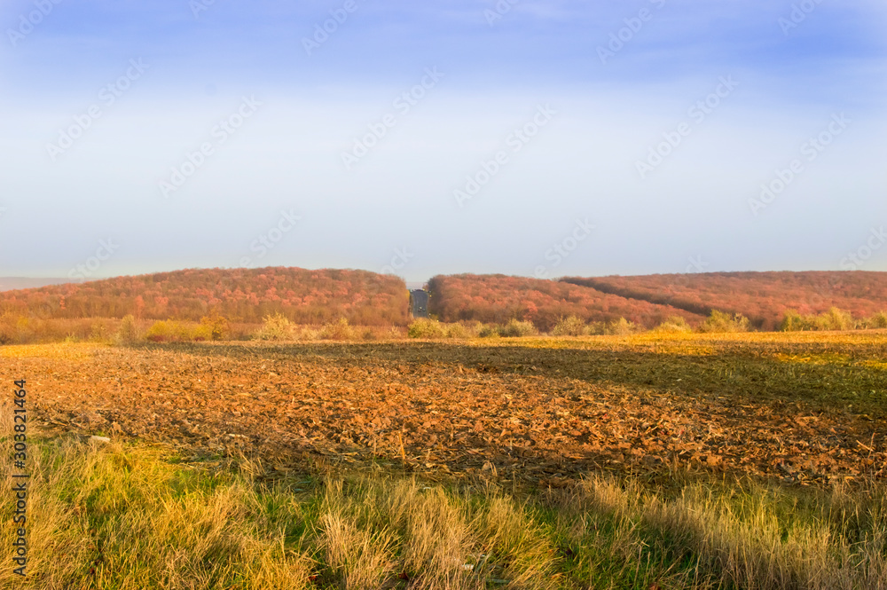 Orange-yellow plowed field against the backdrop of an autumn forest with a freeway in the middle.