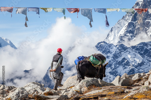 A man with a yak carrying bags on the lobuche pass in the Himalaya on the Everest Base Camp trek. Nepal © Arthur