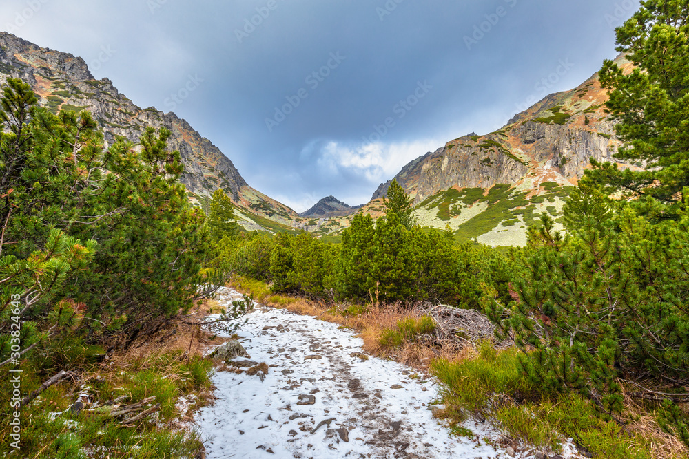 Mountain hiking trail in The Mlynicka Valley at late autumn period. The High Tatras National Park, Slovakia, Europe.