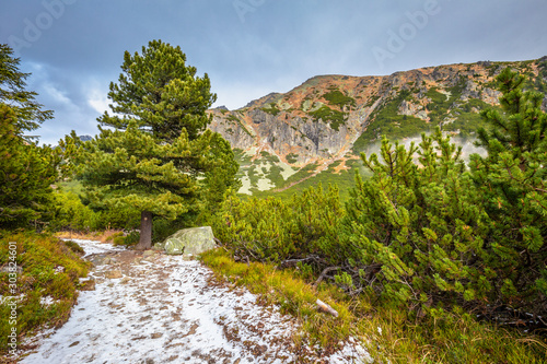 Mountain hiking trail in The Mlynicka Valley at late autumn period. The High Tatras National Park, Slovakia, Europe. photo