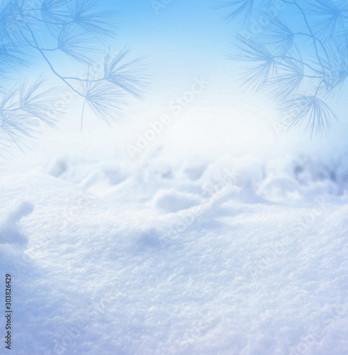 Winter snowy forest landscape.. Christmas New Year holiday background