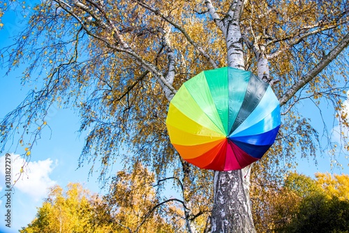 Colorful umbrella against the background of autumn
