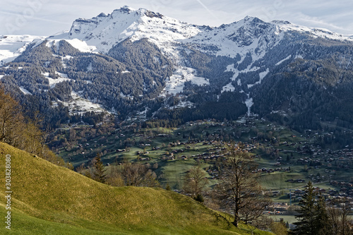 グリンデルワルドからユングフラウまでの登山鉄道からの景色　5月 © EarthScape