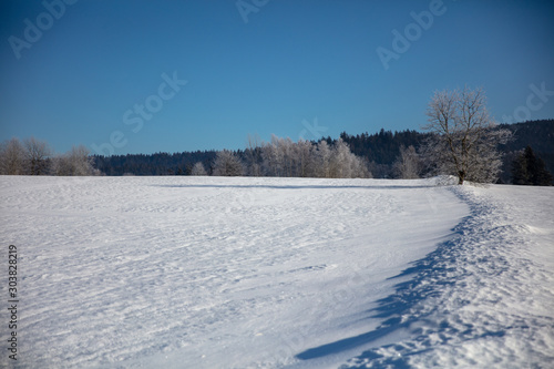 Field covered with snow and ice in the Bavarian Forrest National Park © VUSPhotography.com