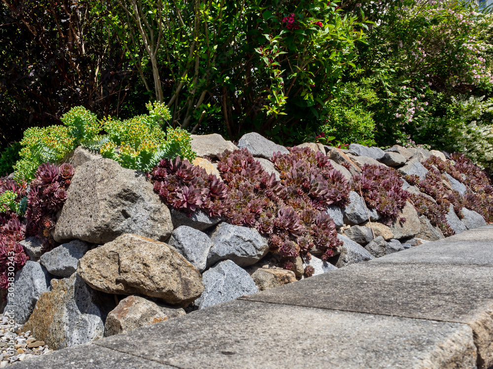 stones and plants in the design of the yard near the house stones and plants in the design of the yard near the house