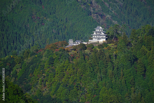 Gujo hachiman castle, Gujo City, Gifu Pref., Japan photo